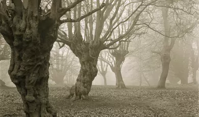 Haunted stories collection.